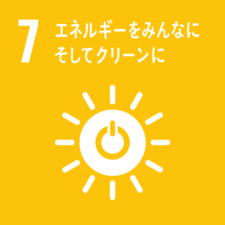 GOAL11 住み続けられるまちづくりを